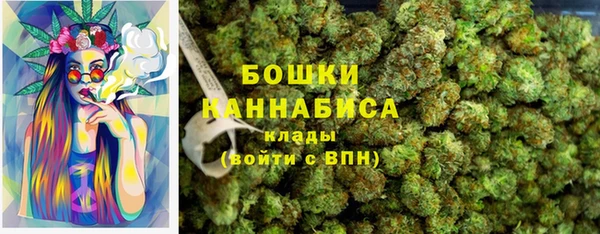 PSILOCYBIN Нязепетровск