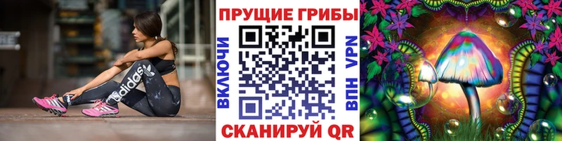 мега ONION  закладка  нарко площадка формула  Галлюциногенные грибы мицелий  Новоульяновск 